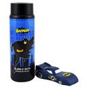 BAT3906_2.jpg